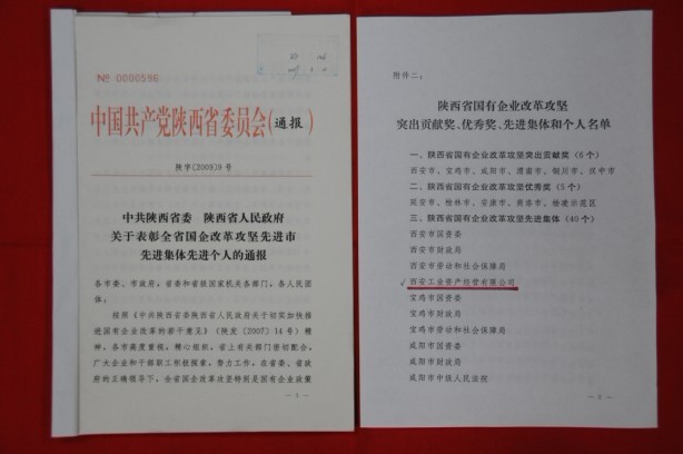 2009年2月，被陜西省委、省政府授予陜西省國有企業(yè)改革攻堅(jiān)先進(jìn)集體